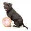 Peluche chien FuzzYard donut géant avec couineur