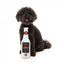 Peluche d'Halloween pour chien FuzzYard Creepy Critter Cider