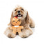 Peluche de Noël pour chien FuzzYard Doughlila (taille S)