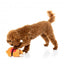 Peluche de Noël pour chien FuzzYard Fairisle Turkey (taille S)