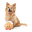 Peluche de Noël pour chien FuzzYard Holly House