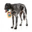 Peluche de Noël pour chien FuzzYard Jolly Scotch