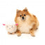 Peluche de Pâques pour chien FuzzYard Bahh-bara Sheep