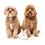 Peluche de Pâques pour chien FuzzYard Fluffy Bunny Slipper