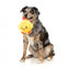 Peluche de Pâques pour chien FuzzYard Hen-rietta