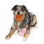 Peluches œufs de Pâques pour chien FuzzYard, lot de 2