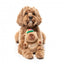 Peluche pour chien FuzzYard Happybaras Cap-Ybara avec couineur