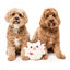 Peluche pour chien FuzzYard Love Cu-pig, cochon Cupidon