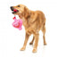 Peluche pour chien FuzzYard Love Tail Chaser Perfume, flacon de parfum