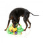 Peluche pour chien FuzzYard Octo-Pose Octo the Outrageous pieuvre avec couineur
