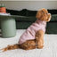 Manteau pour chien en velours côtelé FuzzYard Life Soft Blush