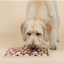 Tapis de léchage pour chien FuzzYard Life Soft Blush