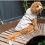 Imperméable pour chien FuzzYard Life Sandstone