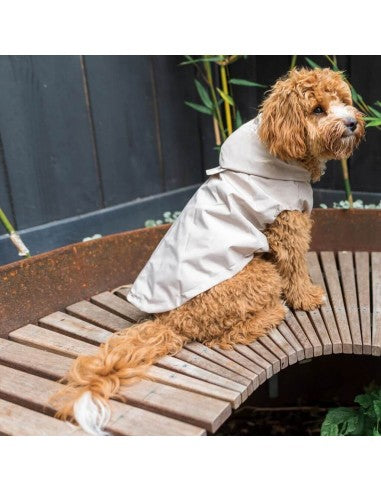 Imperméable pour chien FuzzYard Life Sandstone