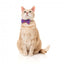 Collier pour chat avec nœud papillon FuzzYard Wild One Bubblegum