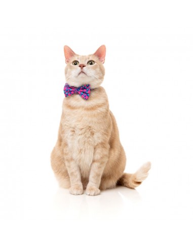 Collier pour chat avec nœud papillon FuzzYard Wild One Bubblegum
