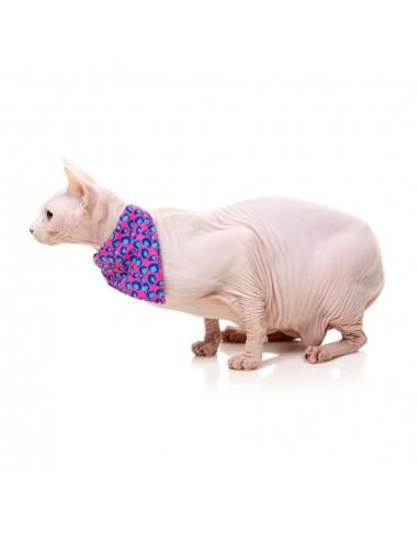 Collier pour chat avec nœud papillon FuzzYard Wild One Bubblegum