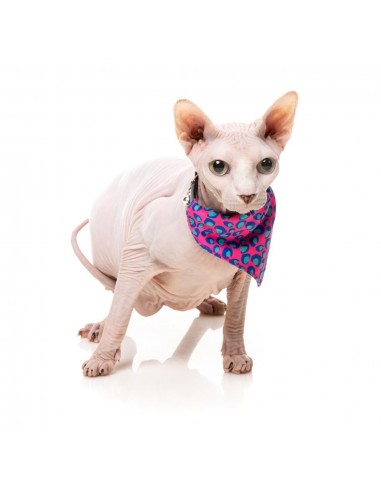 Collier pour chat avec nœud papillon FuzzYard Wild One Bubblegum
