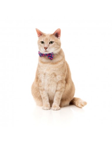 Collier pour chat avec nœud papillon FuzzYard Wild One Bubblegum