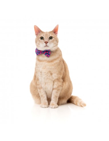 Collier pour chat avec nœud papillon FuzzYard Wild One Bubblegum
