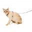 Harnais pour chat avec laisse FuzzYard Caturday Night Fever
