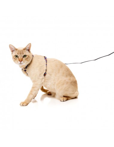 Harnais pour chat avec laisse FuzzYard Caturday Night Fever