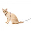 Harnais pour chat avec laisse FuzzYard Caturday Night Fever