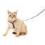 Harnais pour chat avec laisse FuzzYard Caturday Night Fever