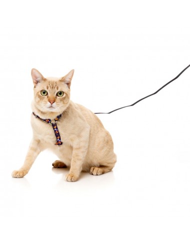Harnais pour chat avec laisse FuzzYard Caturday Night Fever