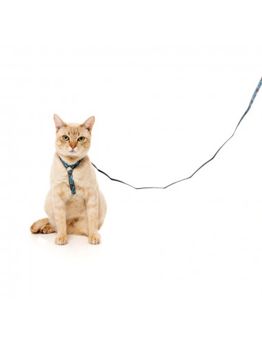 Harnais pour chat avec laisse FuzzYard Soy Sauce Fish