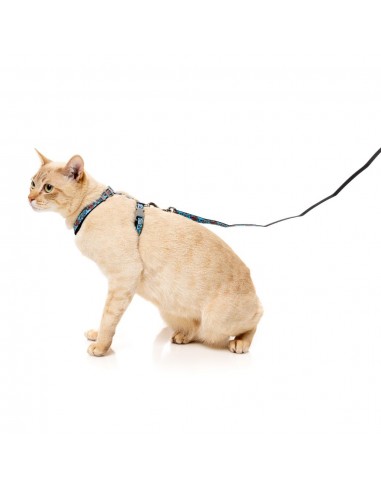 Harnais pour chat avec laisse FuzzYard Soy Sauce Fish