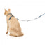 Harnais pour chat avec laisse FuzzYard Soy Sauce Fish
