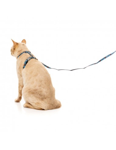 Harnais pour chat avec laisse FuzzYard Soy Sauce Fish