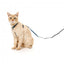 Harnais pour chat avec laisse FuzzYard Soy Sauce Fish