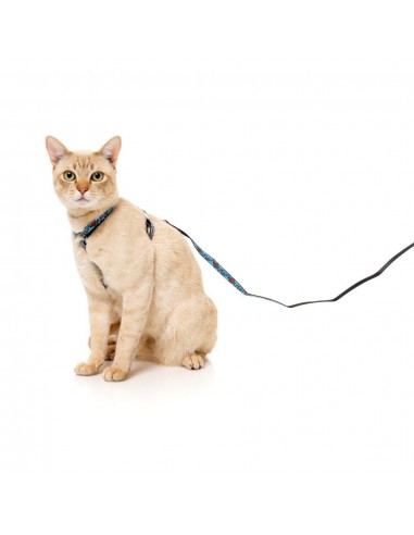 Harnais pour chat avec laisse FuzzYard Soy Sauce Fish