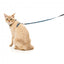 Harnais pour chat avec laisse FuzzYard Soy Sauce Fish