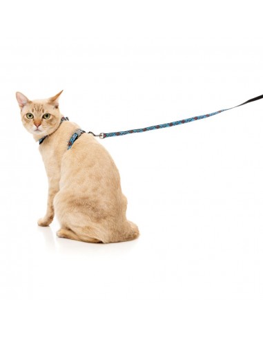 Harnais pour chat avec laisse FuzzYard Soy Sauce Fish