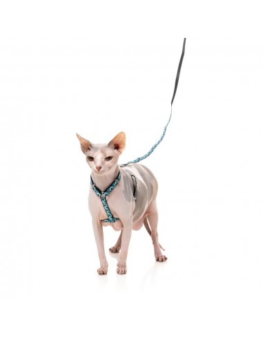 Harnais pour chat avec laisse FuzzYard Wild One Aqua