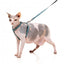 Harnais pour chat avec laisse FuzzYard Wild One Aqua