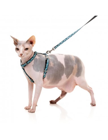 Harnais pour chat avec laisse FuzzYard Wild One Aqua