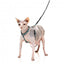 Harnais pour chat avec laisse FuzzYard Wild One Aqua