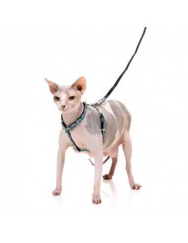 Harnais pour chat avec laisse FuzzYard Wild One Aqua