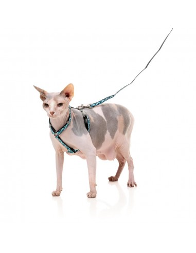 Harnais pour chat avec laisse FuzzYard Wild One Aqua