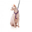 Harnais pour chat avec laisse FuzzYard Wild One Bubblegum