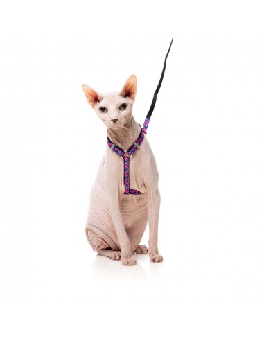 Harnais pour chat avec laisse FuzzYard Wild One Bubblegum