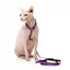 Harnais pour chat avec laisse FuzzYard Wild One Bubblegum