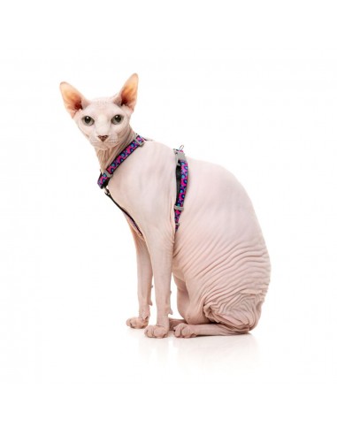 Harnais pour chat avec laisse FuzzYard Wild One Bubblegum