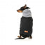 Sweat à capuche pour chien FuzzYard Cremorne, noir (taille 6)