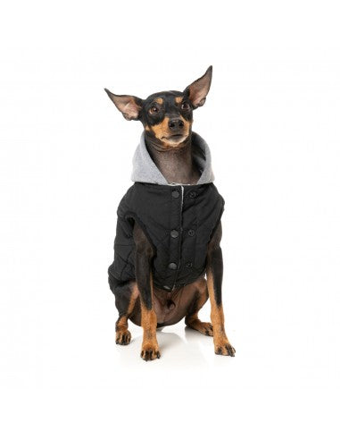 Sweat à capuche pour chien FuzzYard Cremorne, noir (taille 6)
