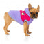 Sweat à capuche chien FuzzYard Oregon lavande